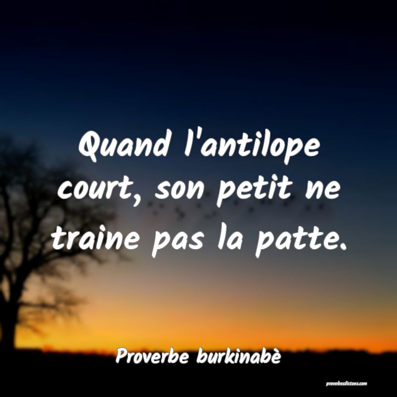  Quand l'antilope court, son petit ne traine pas la patte.