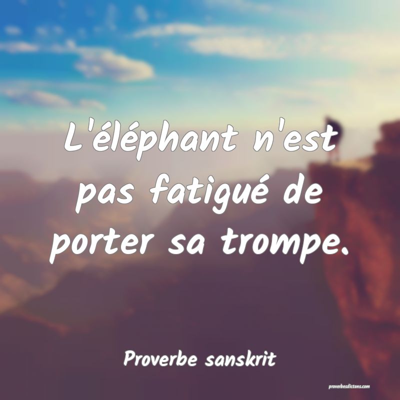 L'éléphant n'est pas fatigué de porter sa trompe.