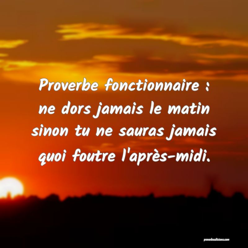 Proverbe fonctionnaire : ne dors jamais le matin sinon tu ne sauras jamais quoi foutre l'après-midi.