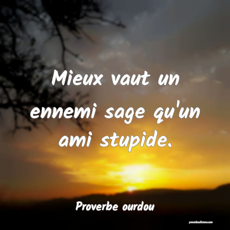 Mieux vaut un ennemi sage qu'un ami stupide.