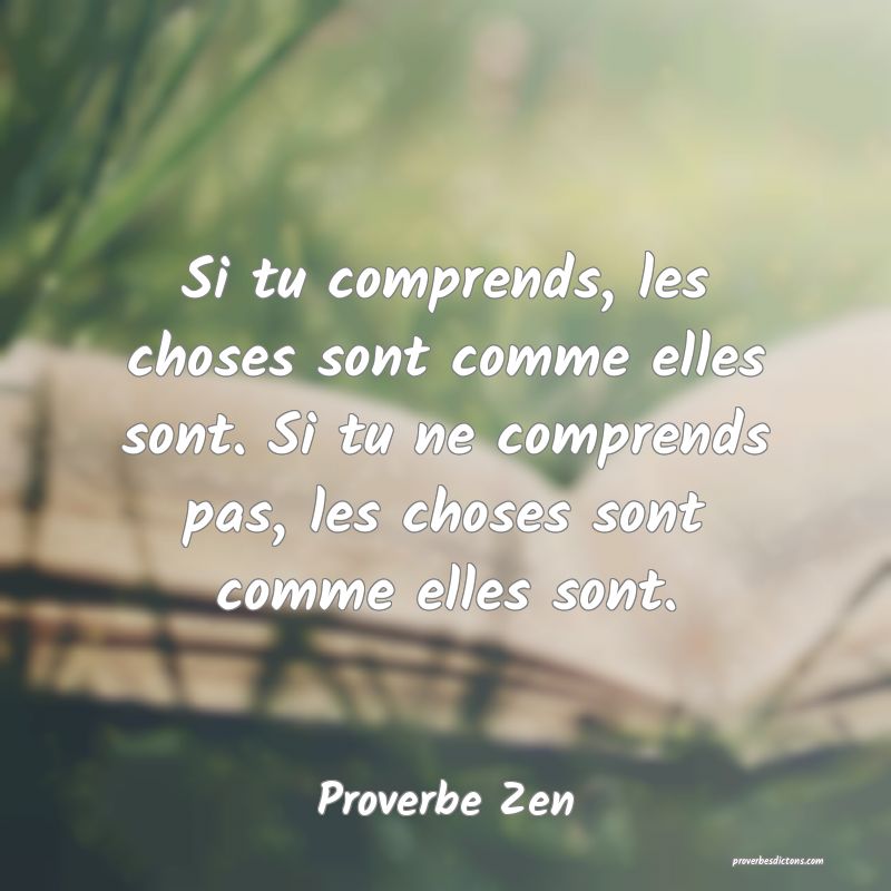 Si tu comprends, les choses sont comme elles sont. Si tu ne comprends pas, les choses sont comme elles sont.