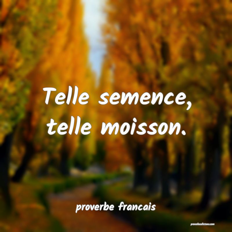 Telle semence, telle moisson.