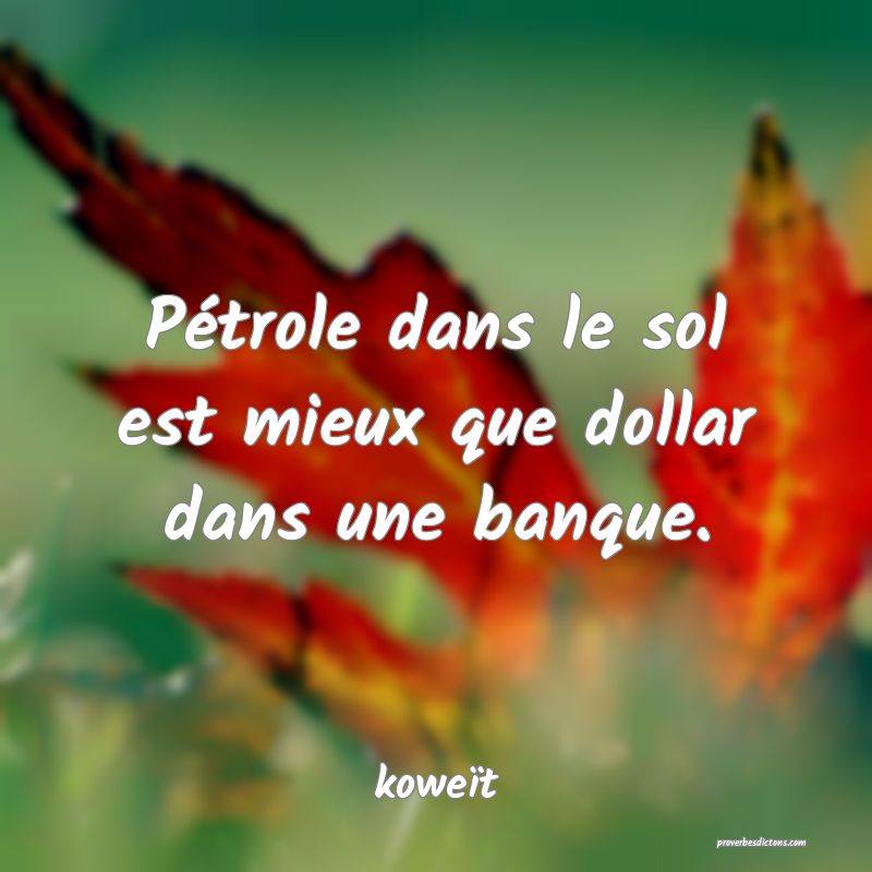  Pétrole dans le sol est mieux que dollar dans une banque.