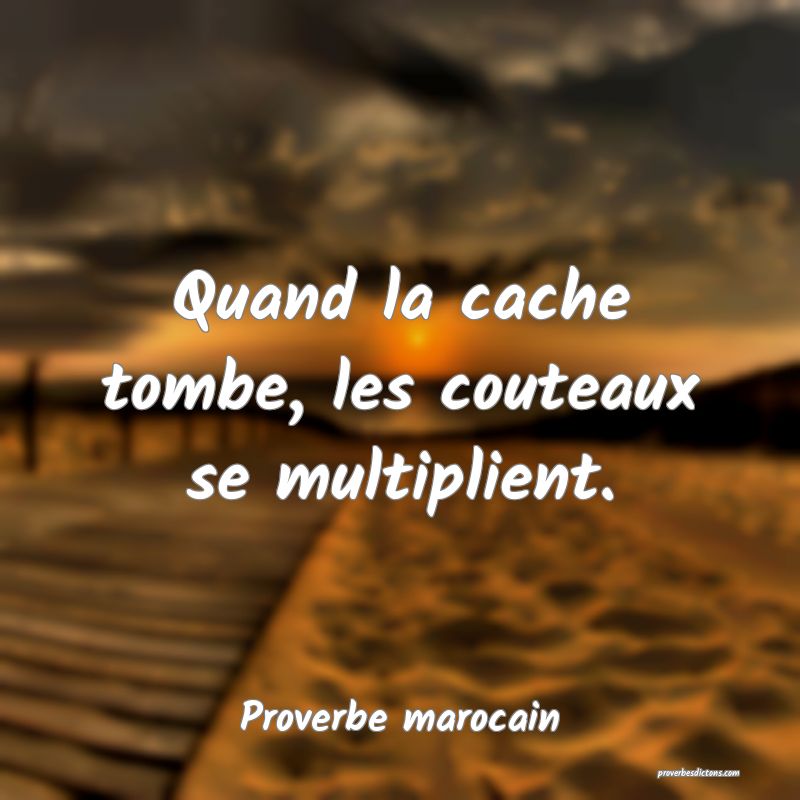  Quand la cache tombe, les couteaux se multiplient.