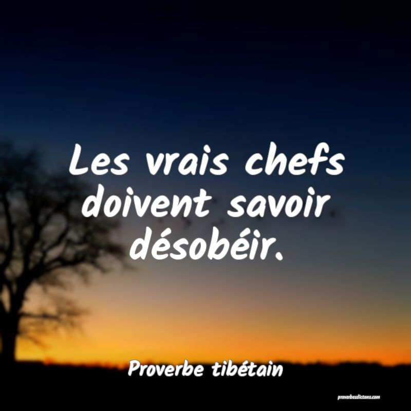 Les vrais chefs doivent savoir désobéir.