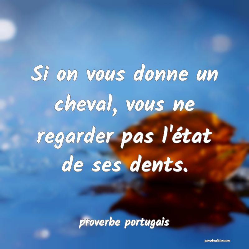  Si on vous donne un cheval, vous ne regarder pas l'état de ses dents.