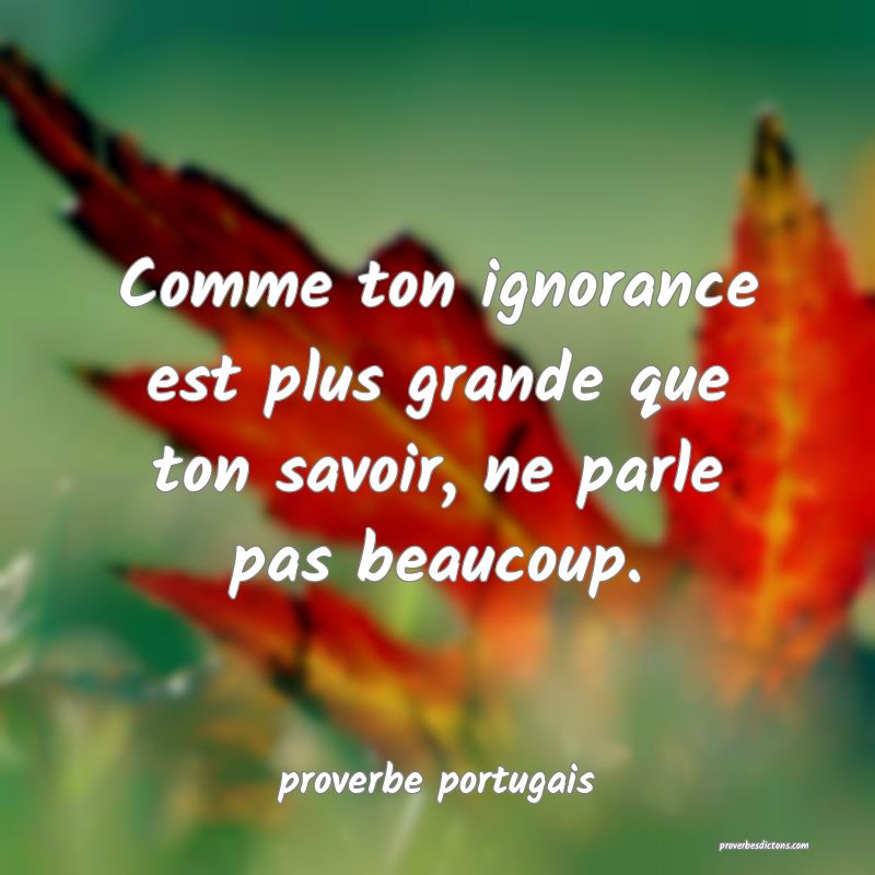  Comme ton ignorance est plus grande que ton savoir, ne parle pas beaucoup.