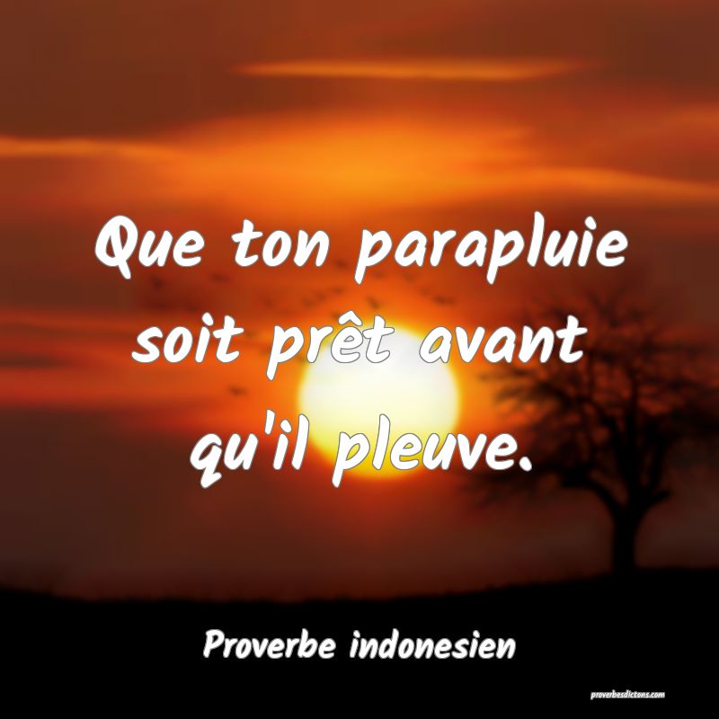 Que ton parapluie soit prêt avant qu'il pleuve.