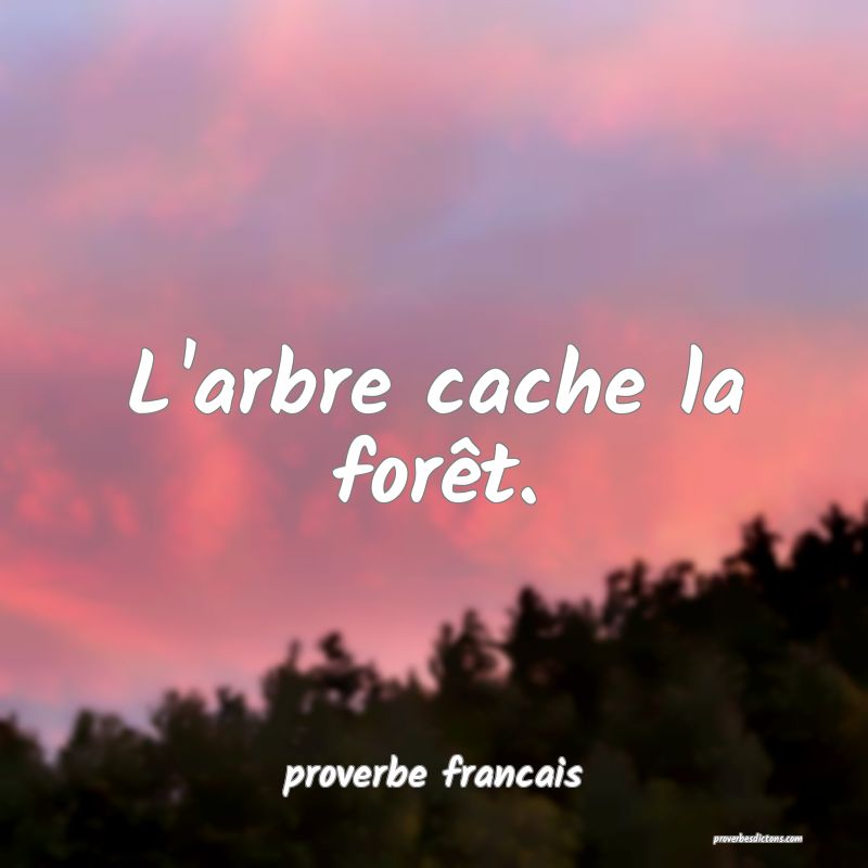L'arbre cache la forêt.