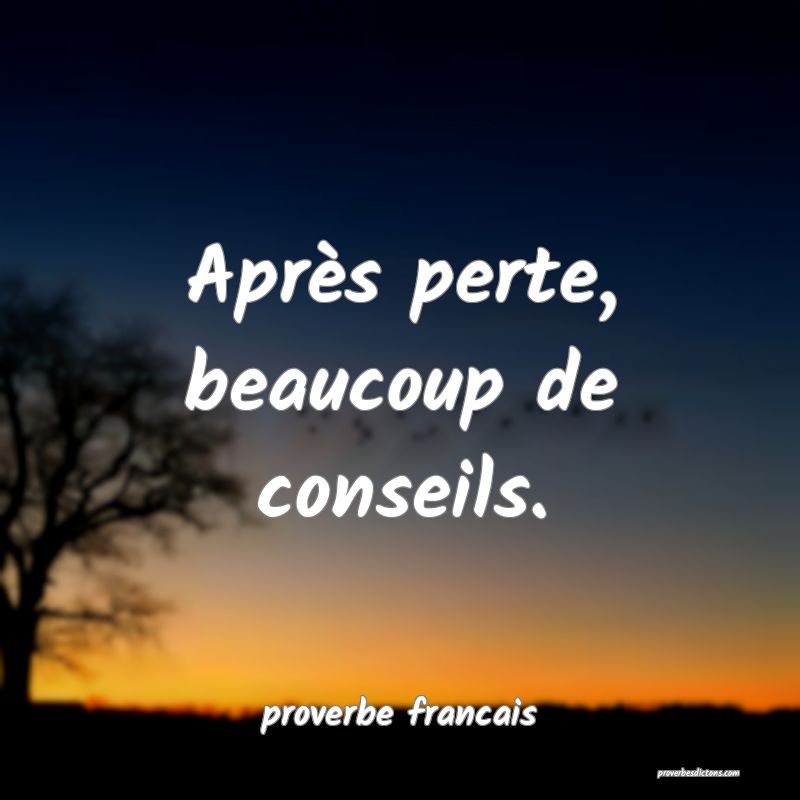 Après perte, beaucoup de conseils.