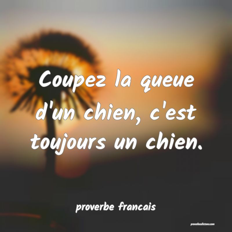 Coupez la queue d'un chien, c'est toujours un chien.