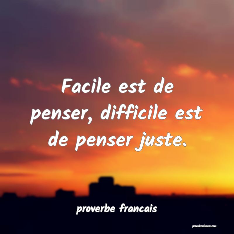 Facile est de penser, difficile est de penser juste.