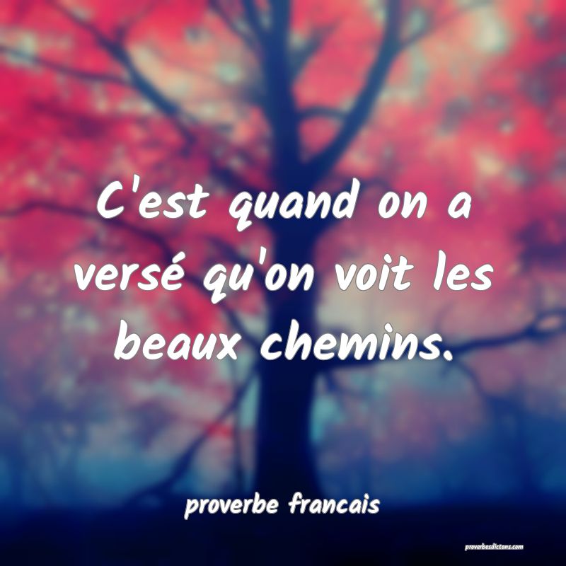 C'est quand on a versé qu'on voit les beaux chemins.