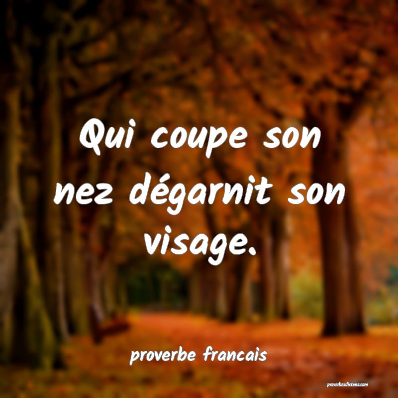 Qui coupe son nez dégarnit son visage.