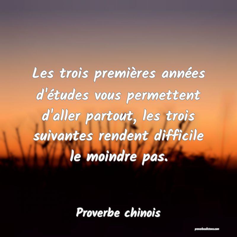 Les trois premières années d'études vous permettent d'aller partout, les trois suivantes rendent difficile le moindre pas.