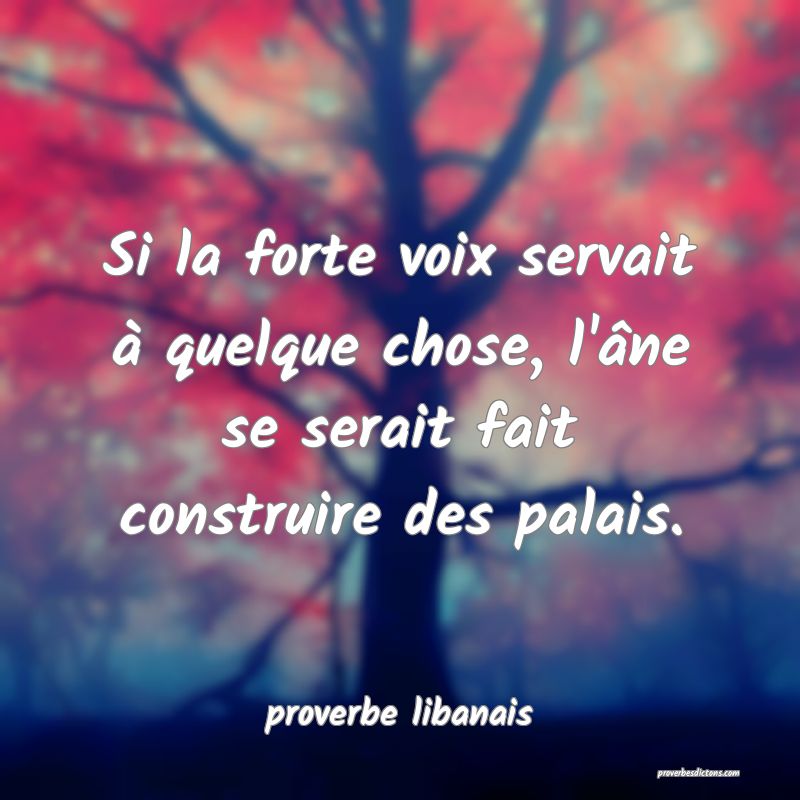 Si la forte voix servait à quelque chose, l'âne se serait fait construire des palais.