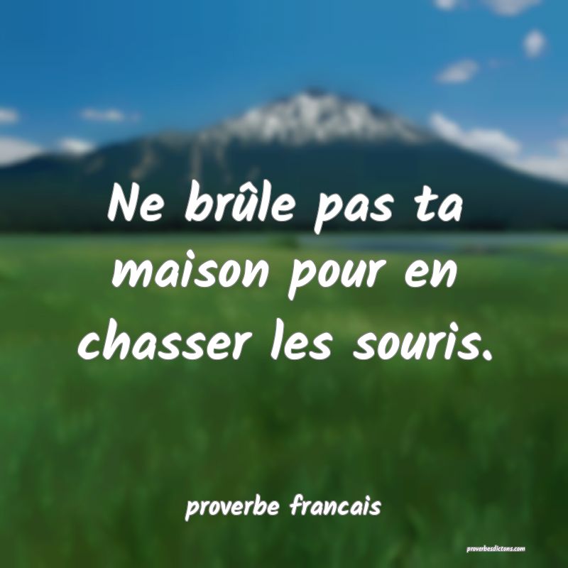 Ne brûle pas ta maison pour en chasser les souris.