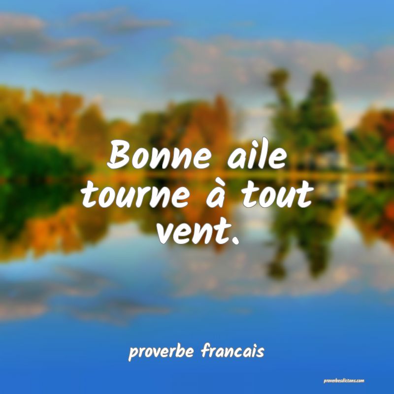 Bonne aile tourne à tout vent.
