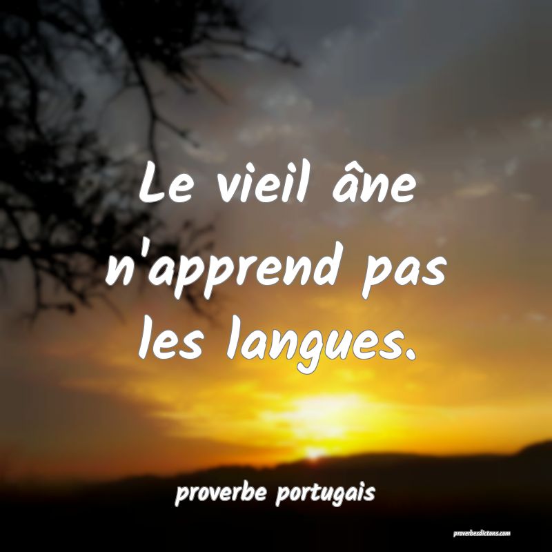  Le vieil âne n'apprend pas les langues.