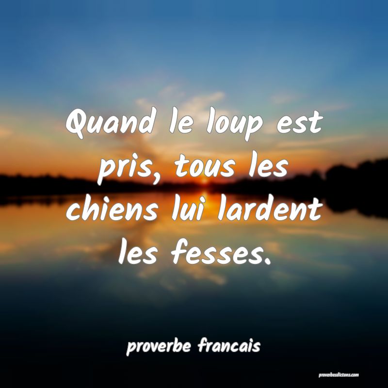 Quand le loup est pris, tous les chiens lui lardent les fesses.