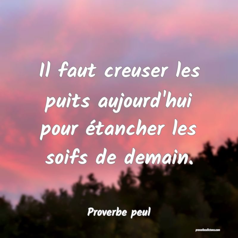 Il faut creuser les puits aujourd'hui pour étancher les soifs de demain.