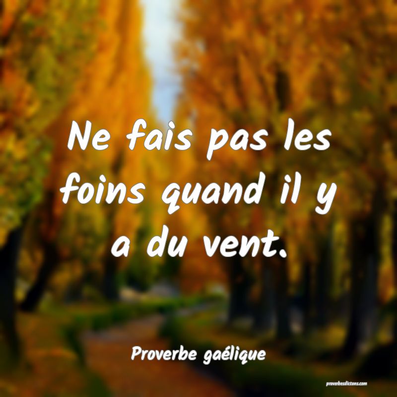 Ne fais pas les foins quand il y a du vent.