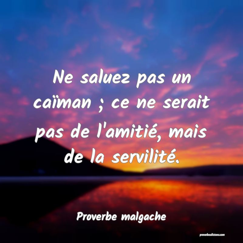 Ne saluez pas un caïman ; ce ne serait pas de l'amitié, mais de la servilité.