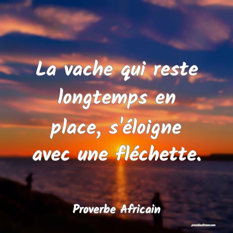 La vache qui reste longtemps en place, s'éloigne avec une fléchette.
