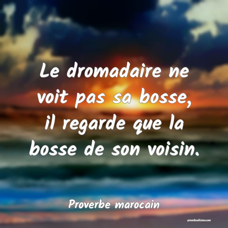  Le dromadaire ne voit pas sa bosse, il regarde que la bosse de son voisin.
