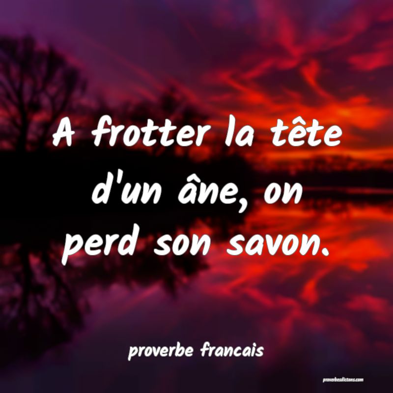 A frotter la tête d'un âne, on perd son savon.