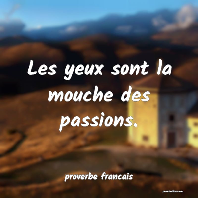 Les yeux sont la mouche des passions.