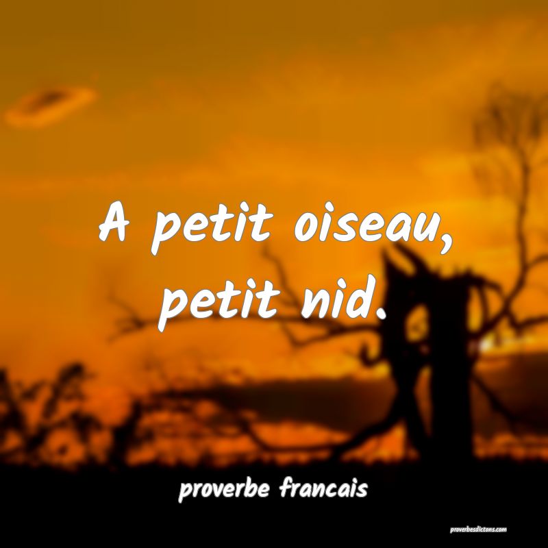 A petit oiseau, petit nid.