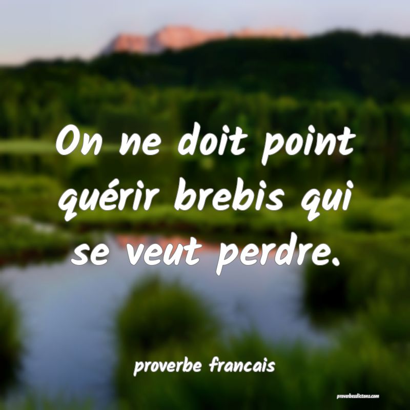On ne doit point quérir brebis qui se veut perdre.