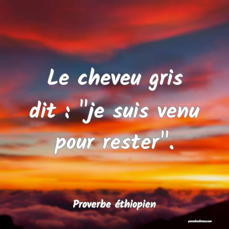 Le cheveu gris dit : 