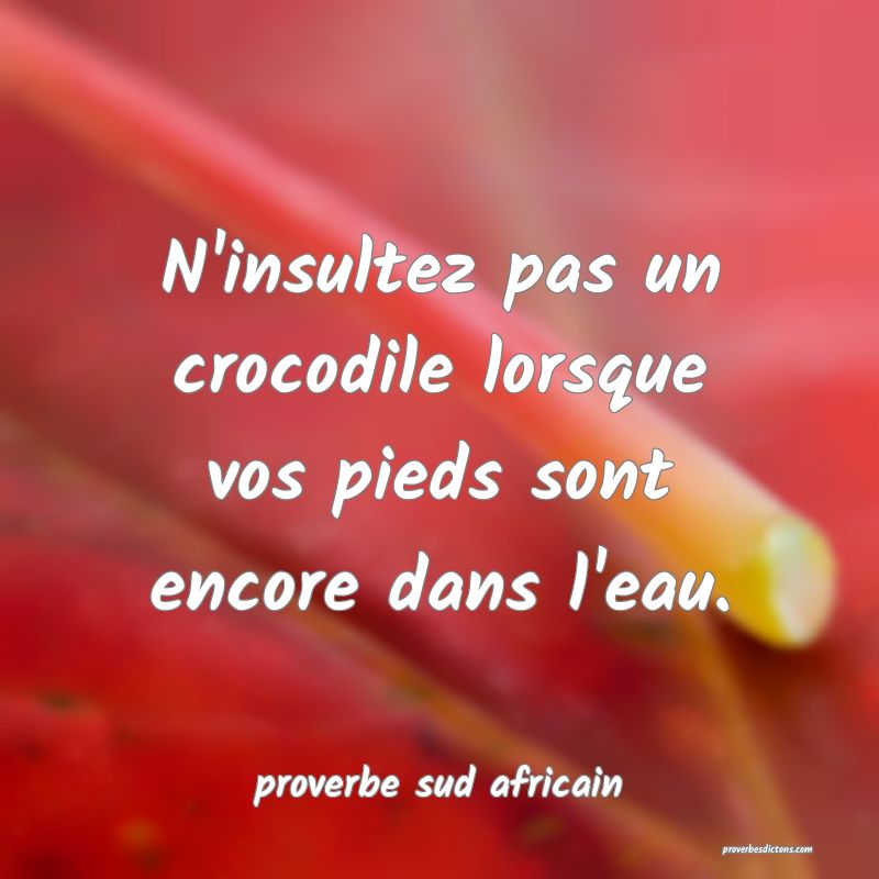 N'insultez pas un crocodile lorsque vos pieds sont encore dans l'eau.