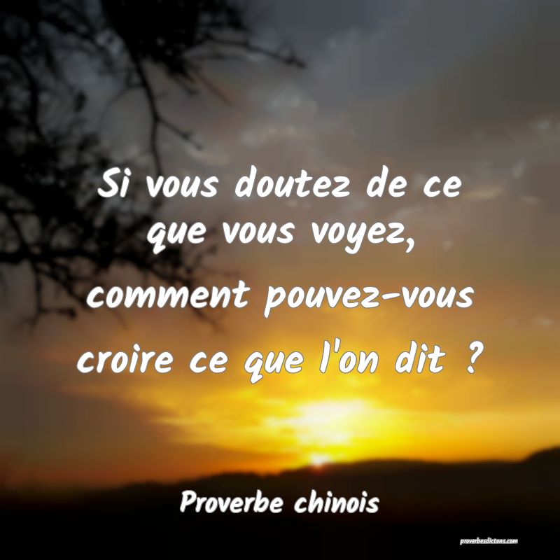Si vous doutez de ce que vous voyez, comment pouvez-vous croire ce que l'on dit ?