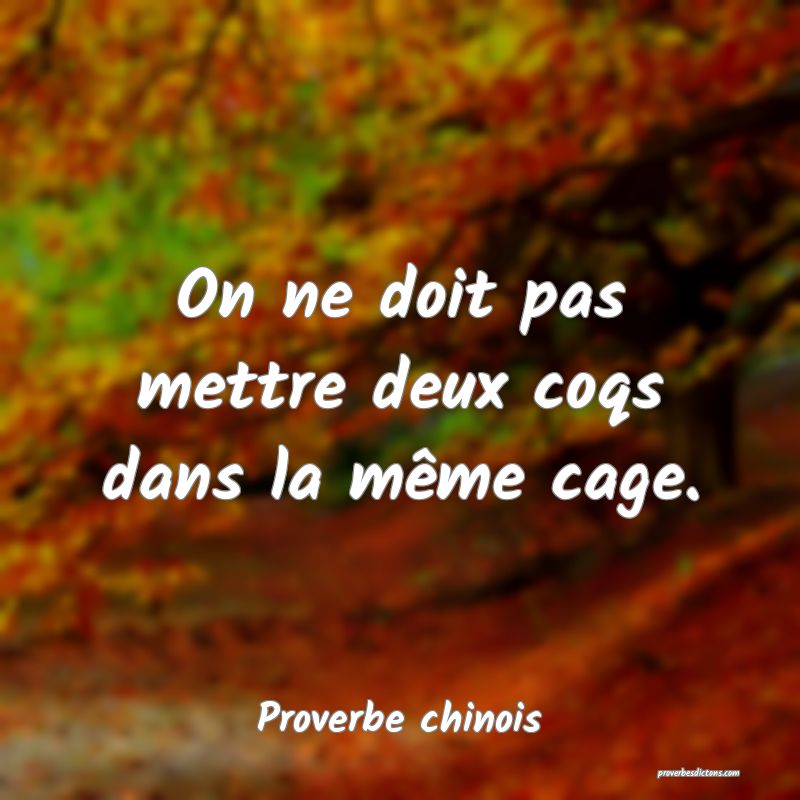 On ne doit pas mettre deux coqs dans la même cage.