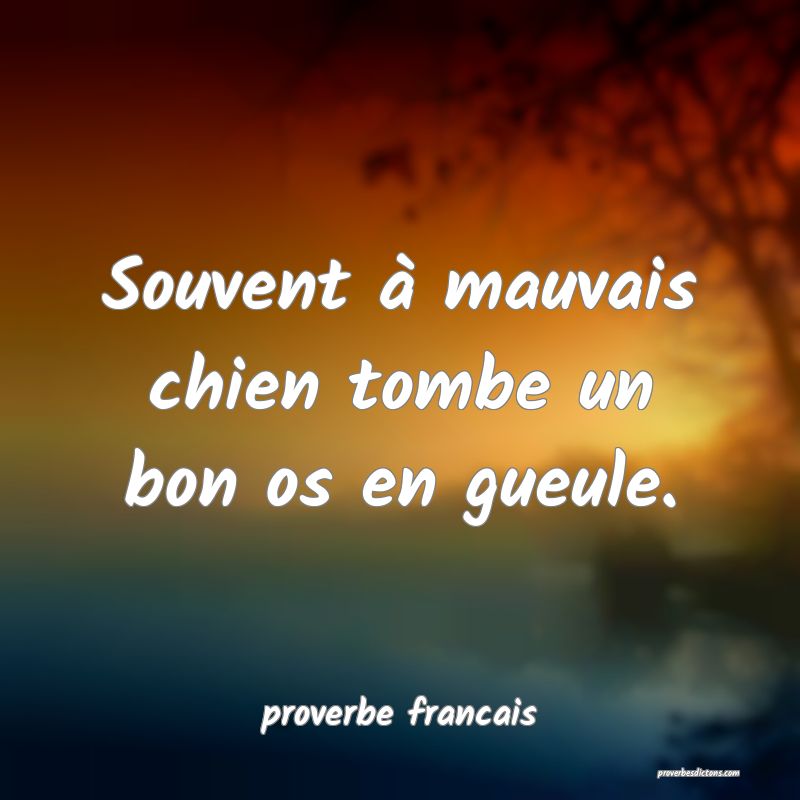 Souvent à mauvais chien tombe un bon os en gueule.