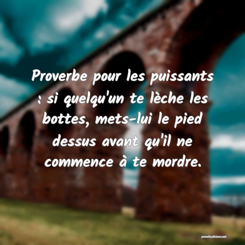 Proverbe pour les puissants : si quelqu'un te lèche les bottes, mets-lui le pied dessus avant qu'il ne commence à te mordre.