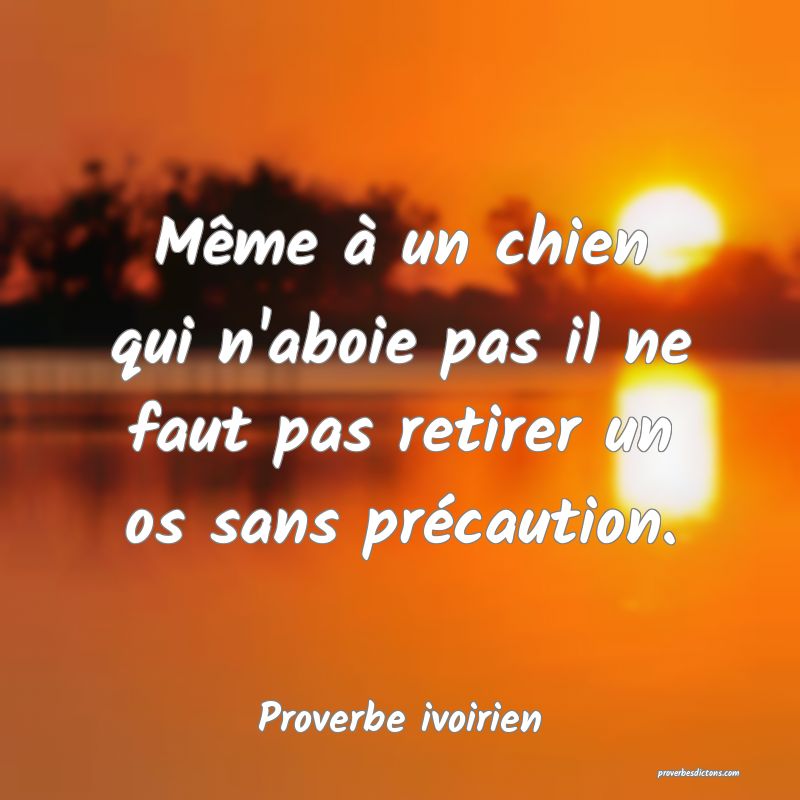 Même à un chien qui n'aboie pas il ne faut pas retirer un os sans précaution.