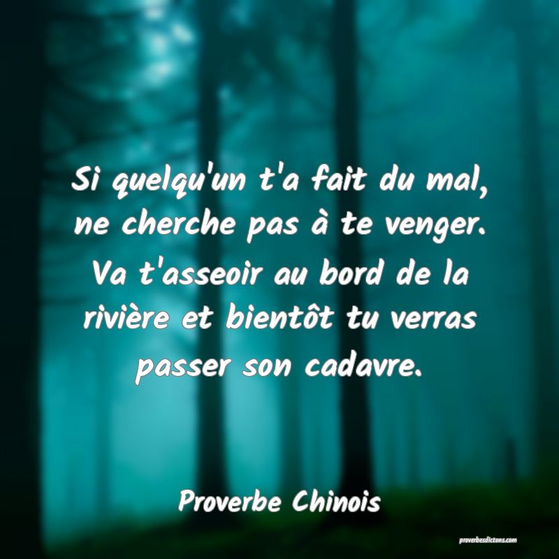 Si quelqu'un t'a fait du mal, ne cherche pas à te venger. Va t'asseoir au bord de la rivière et bientôt tu verras passer son cadavre.