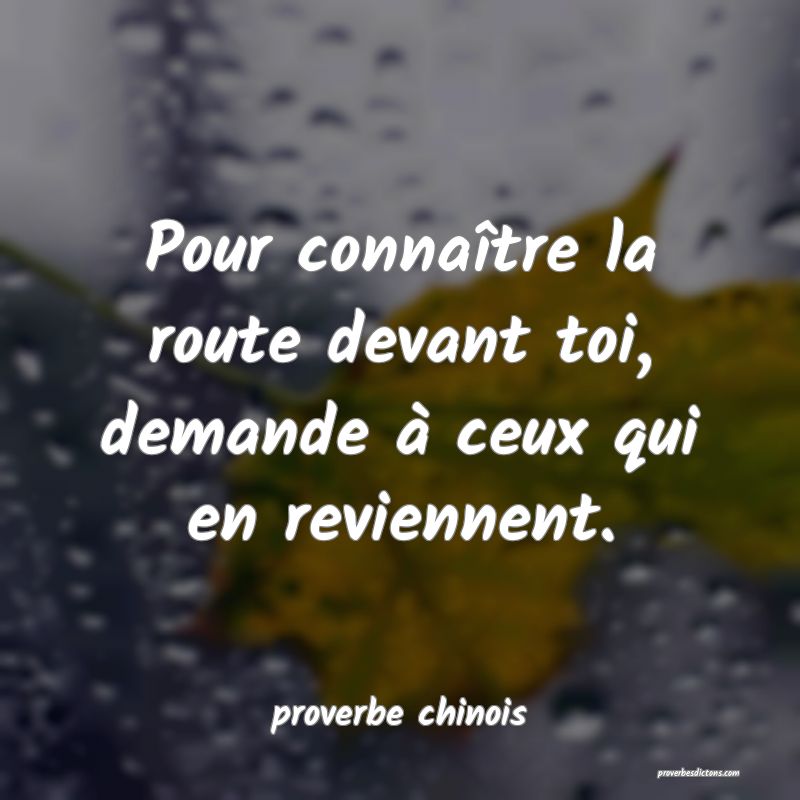  Pour connaître la route devant toi, demande à ceux qui en reviennent.