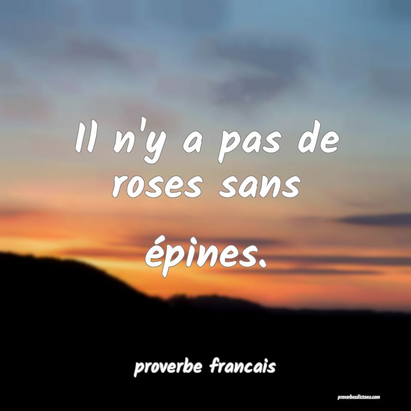 Il n'y a pas de roses sans épines.