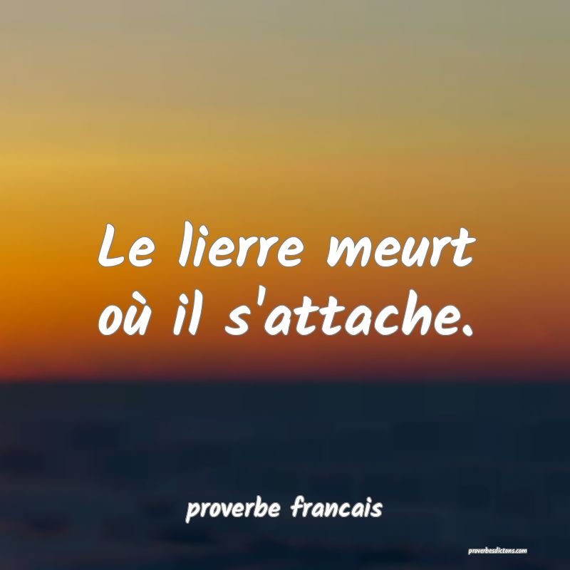 Le lierre meurt où il s'attache.
