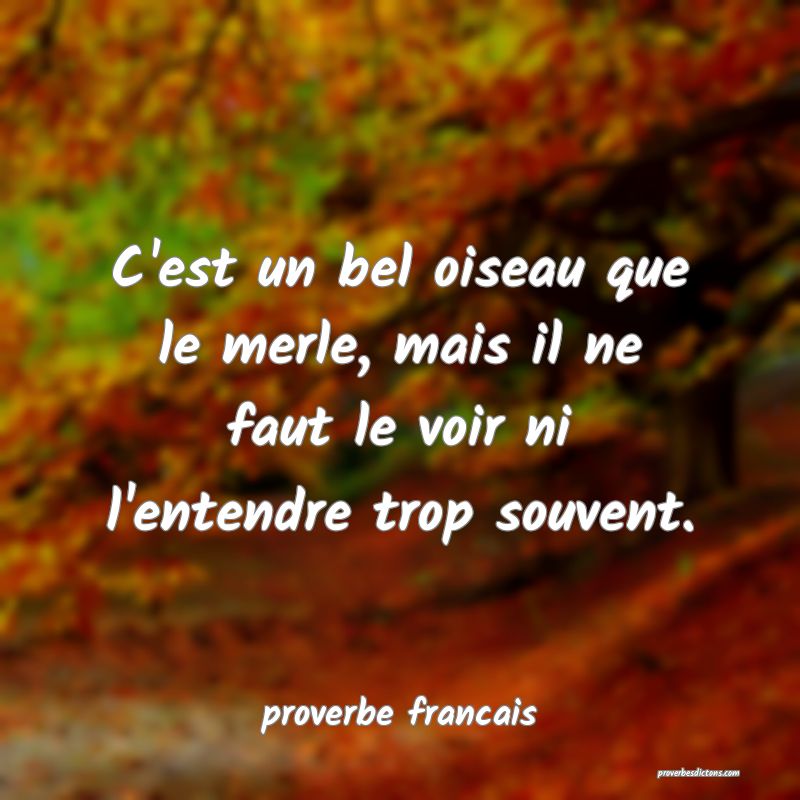 C'est un bel oiseau que le merle, mais il ne faut le voir ni l'entendre trop souvent.