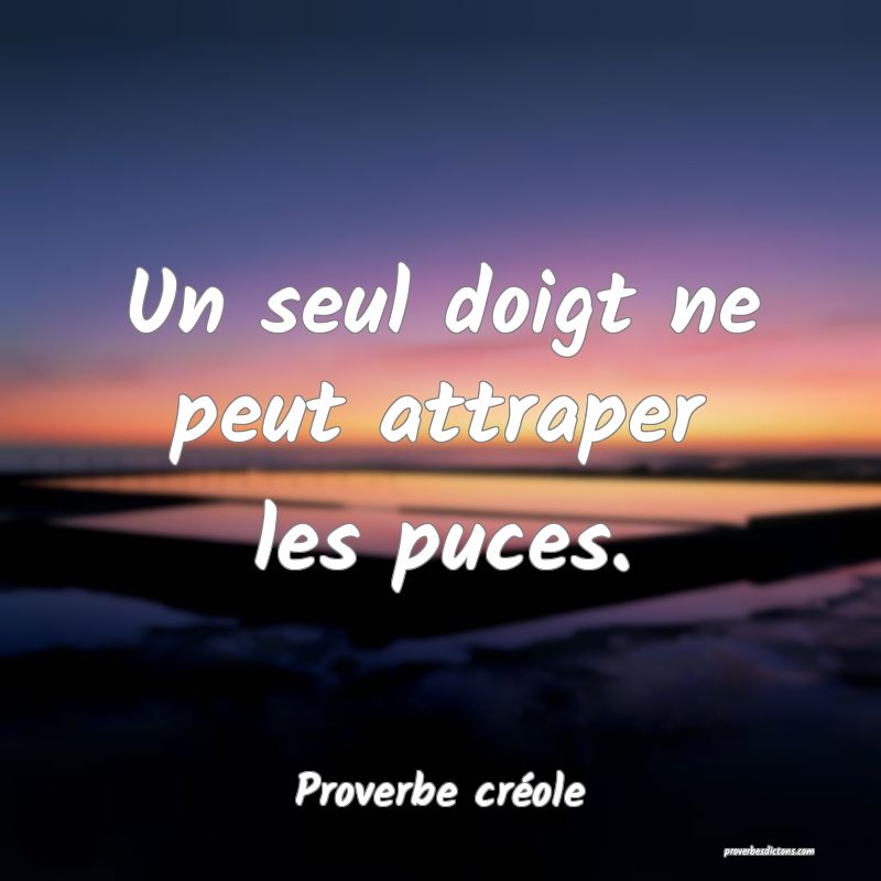 Un seul doigt ne peut attraper les puces.