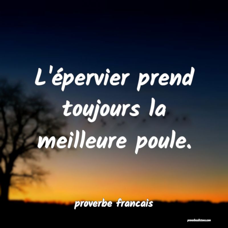 L'épervier prend toujours la meilleure poule.