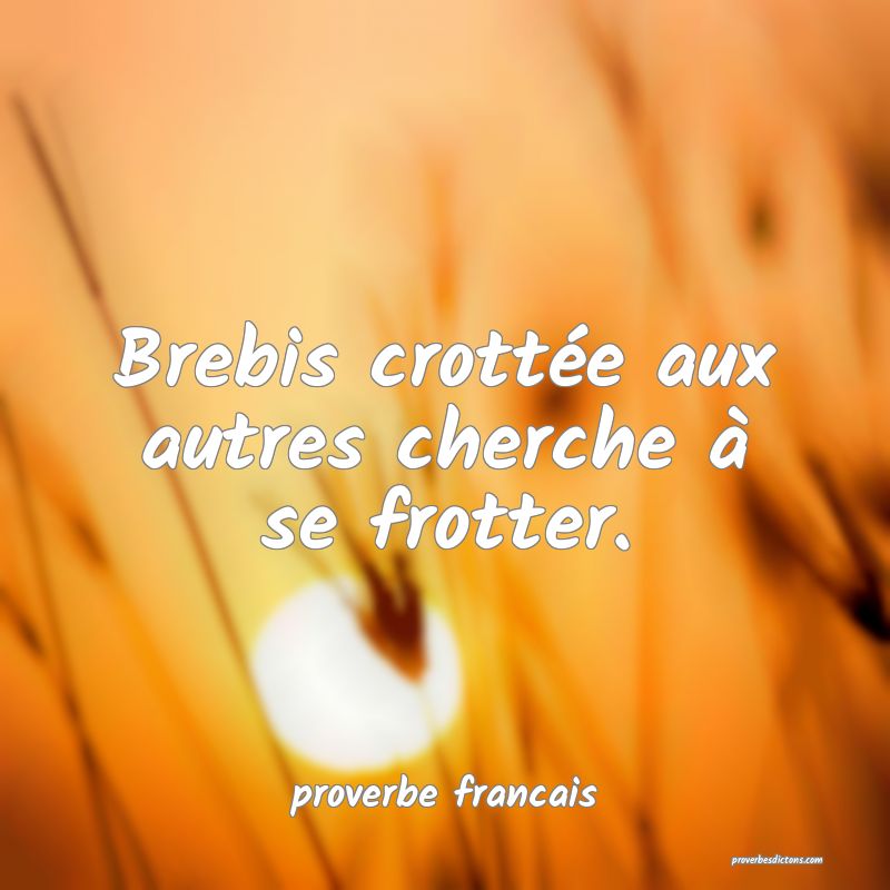 Brebis crottée aux autres cherche à se frotter.