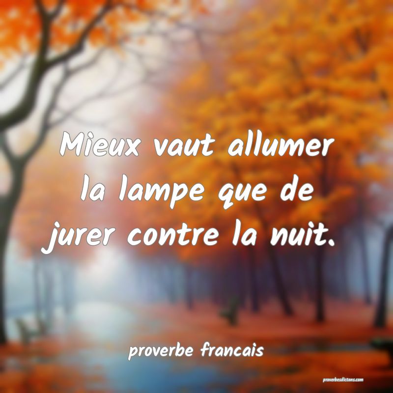 Mieux vaut allumer la lampe que de jurer contre la nuit.
