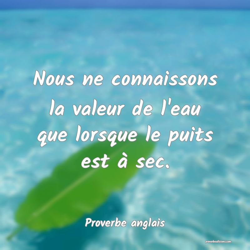  Nous ne connaissons la valeur de l'eau que lorsque le puits est à sec.
